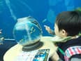 toiro 青葉台 児童指導員の求人情報