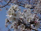 砺波ふれあいの杜 の求人情報