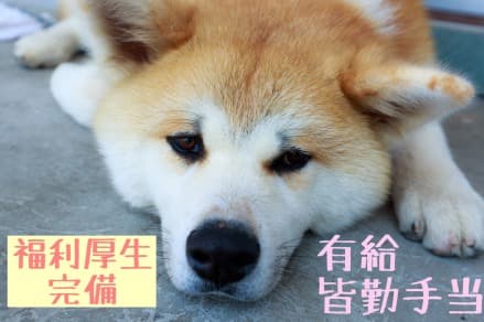 【熱田区デイサービスセンター】他案件多数★ の求人情報