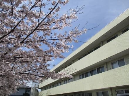 特別養護老人ホームつるみね 【看護師】の求人情報