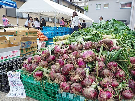 介護サービスかくれんぼ (ヘルパー事業部)の求人情報