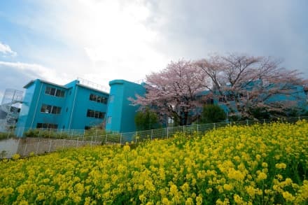 介護老人福祉施設 ヴィラ桜ケ丘 正看護師 常勤の求人情報