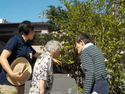 ふれあい多居夢 大宮 【介護福祉士】の求人情報