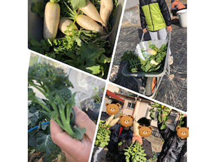 おりーぶ西昆陽の求人情報 兵庫県尼崎市 就労継続支援の介護職 ヘルパーの求人