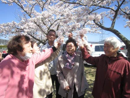 花水木デイサービスセンターもとまち 准看護師の求人情報